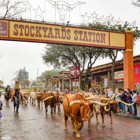 Worth Stockyards